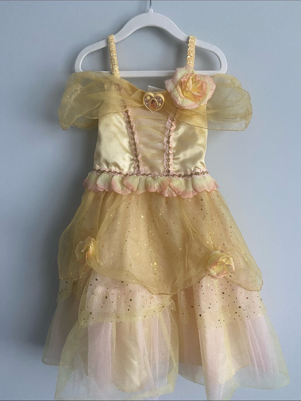 Disney Store Princess Belle dress size 4 little girl With roses Pink and yellow